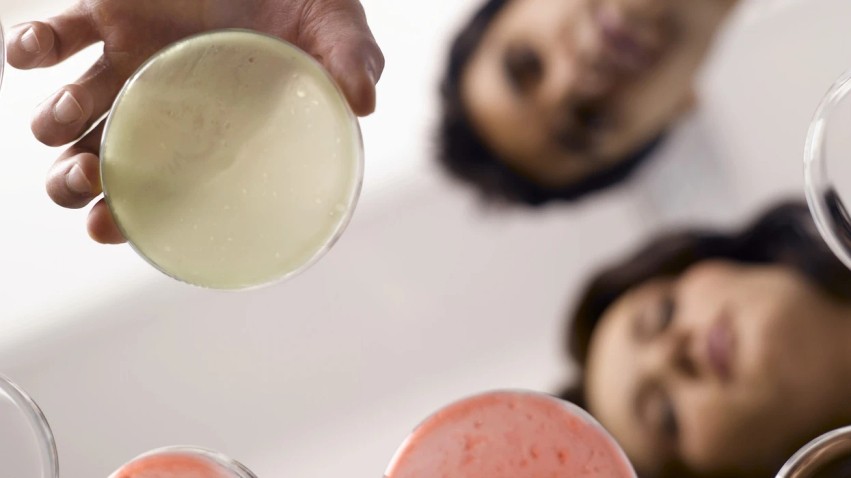 Mit apo e vërtetë? Çfarë duhet të eliminoni vërtet nga pjata kur përballeni me infeksionin e kandidës