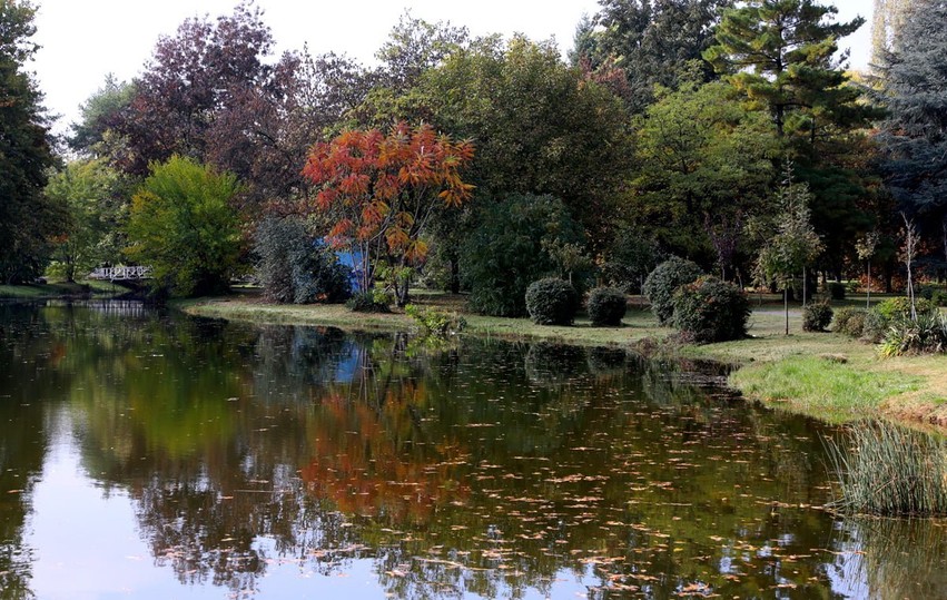 Kthehet i ftohti në Maqedoninë e Veriut: Meteorologët paralajmërojnë erëra të fuqishme dhe ulje të temperaturave