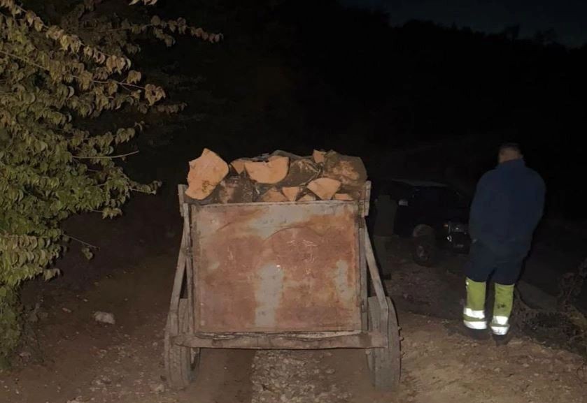 Goditje ndaj prerjeve ilegale në rajonin e Ferizajit, policia konfiskon sasi të lëndës drusore
