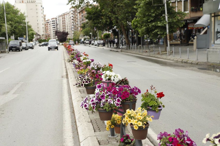 Blerja e luleve në Mitrovicë, Komuna hedh poshtë pretendimet për keqpërdorim të buxhetit të arsimit