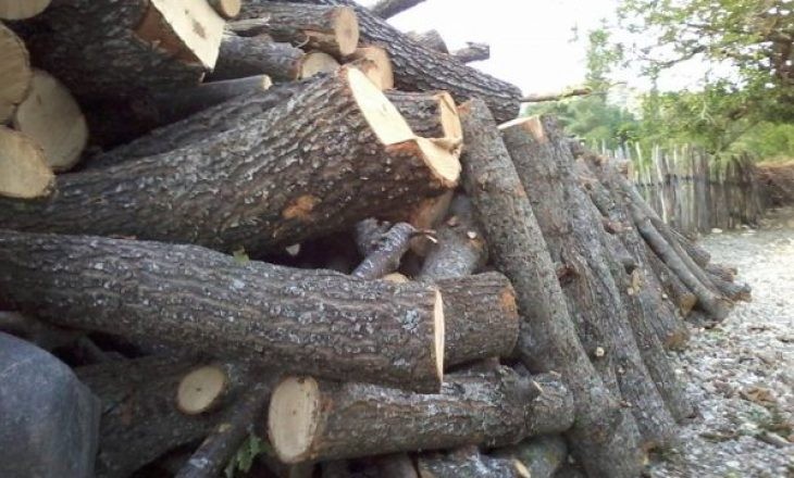 Stanjacioni i çmimit të druve: Pse qytetarët po i shmangen blerjes këtë sezon dimëror?