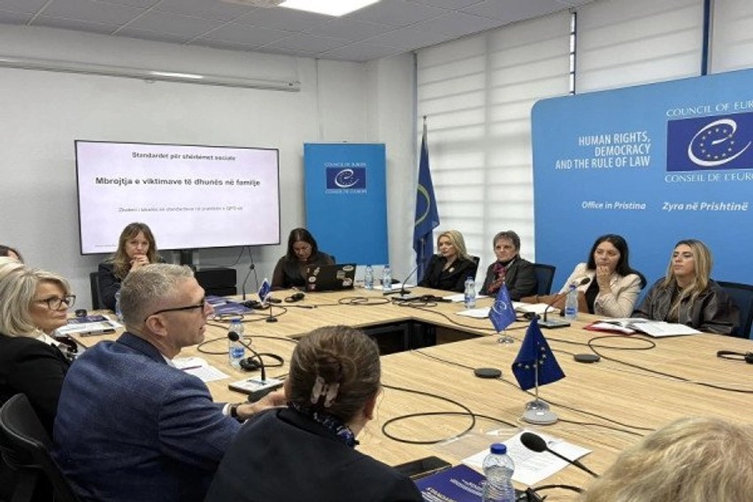 Ngritje kapacitetesh për mbrojtjen e viktimave të dhunës në familje: Trajnohen 42 ekspertë të fushës