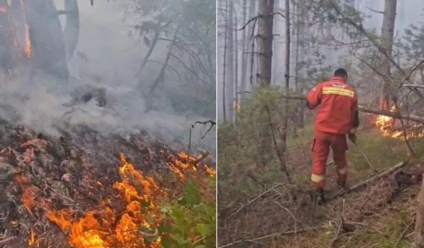 Situatë alarmante në Elbasan: Riaktivizohen flakët masive në pyjet e Gjinarit