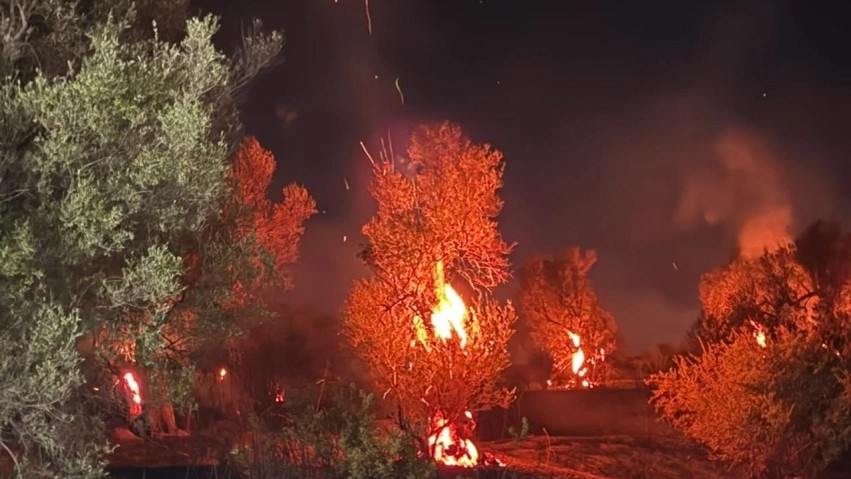 Flakët përfshijnë Bestrovën: Dëme në ullishte dhe dyshime për zjarrvënie të qëllimshme