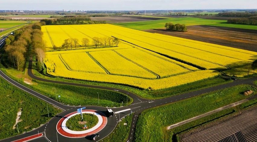 Ndryshimet klimatike sjellin risi: Holanda nis prodhimin e orizit