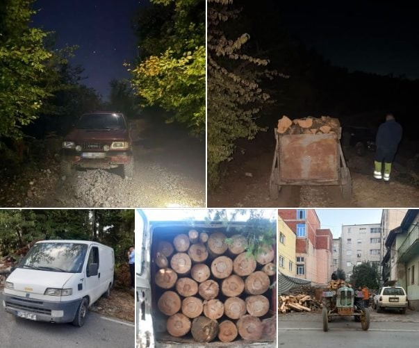 Aksion kundër prerjeve ilegale në rajonin e Ferizajt: Konfiskohen automjete dhe sasi e druve