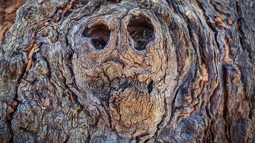 Pse truri juaj 'krijon' fytyra aty ku nuk ka? Misteri pas fenomenit të pareidolisë