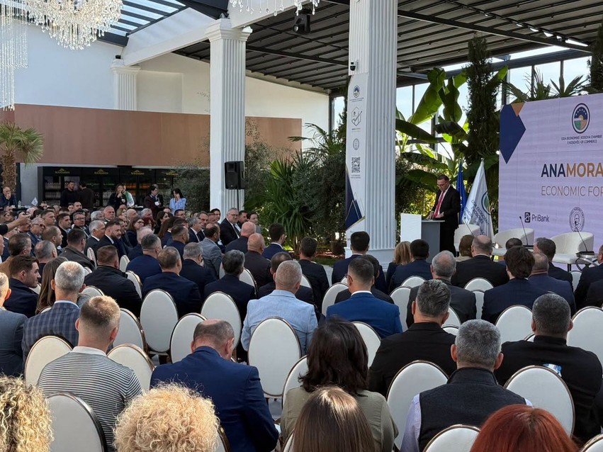 Ura të reja ekonomike: Anamorava bashkon investitorët e diasporës me sipërmarrjet vendore