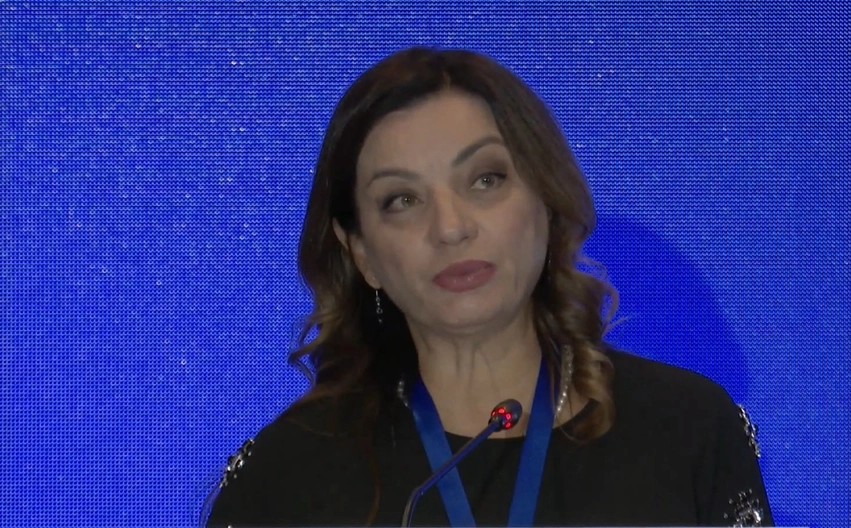 Albana Vokshi: Si po e mund narkoshteti shqiptar kushtëzimin evropian