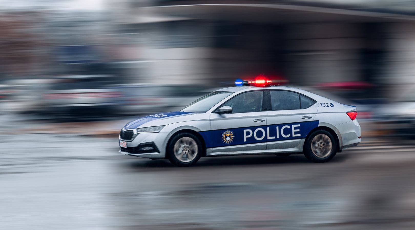 Mitrovicë: Policia kap në flagrancë dy persona duke prerë dhe vjedhur drunj në fshatin Selac