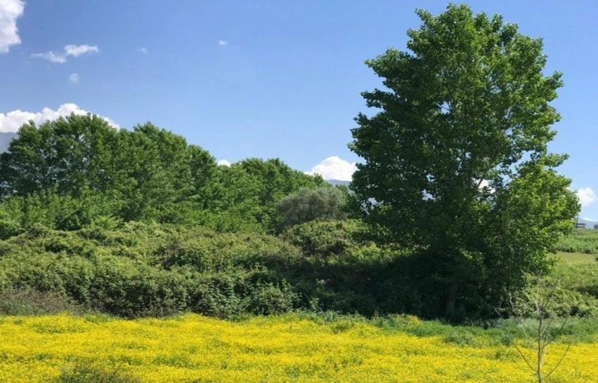 Parashikimi i motit: E hëna sjell kthjellime dhe rritje të temperaturave në të gjithë vendin