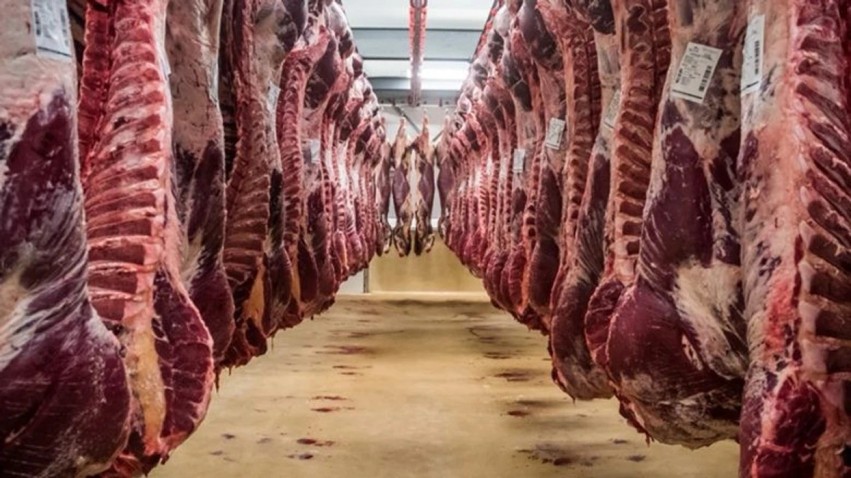 Goditje tregtisë ilegale të mishit: AUV konfiskon 2 tonë produkte të pasigurta në Radovish dhe Negotinë