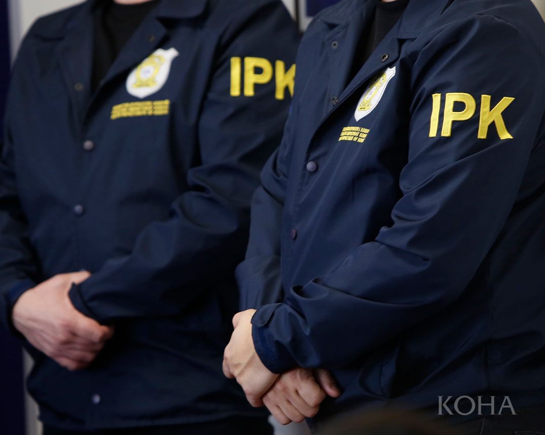 Veprimet e Policisë gjatë protestës nën lupë: IPK nis hetimet paraprake