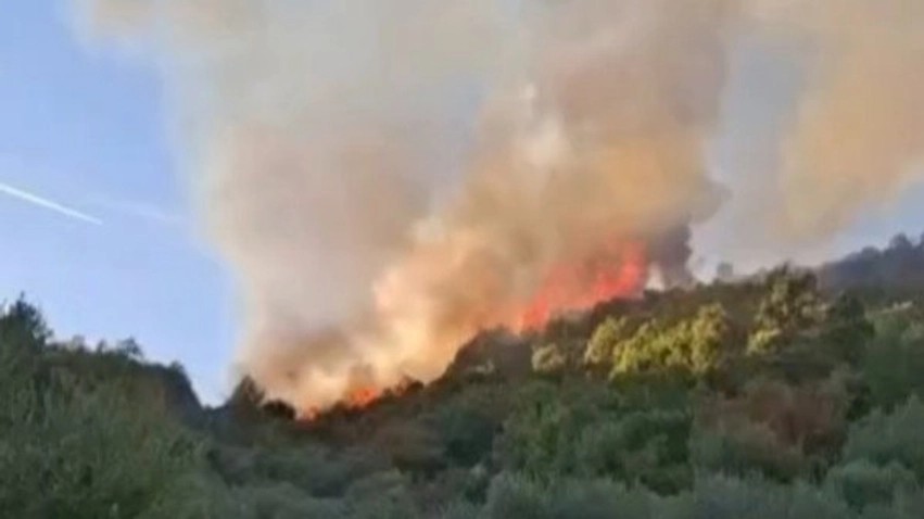 Zjarr i madh në fshatin Haspiraj të Peqinit