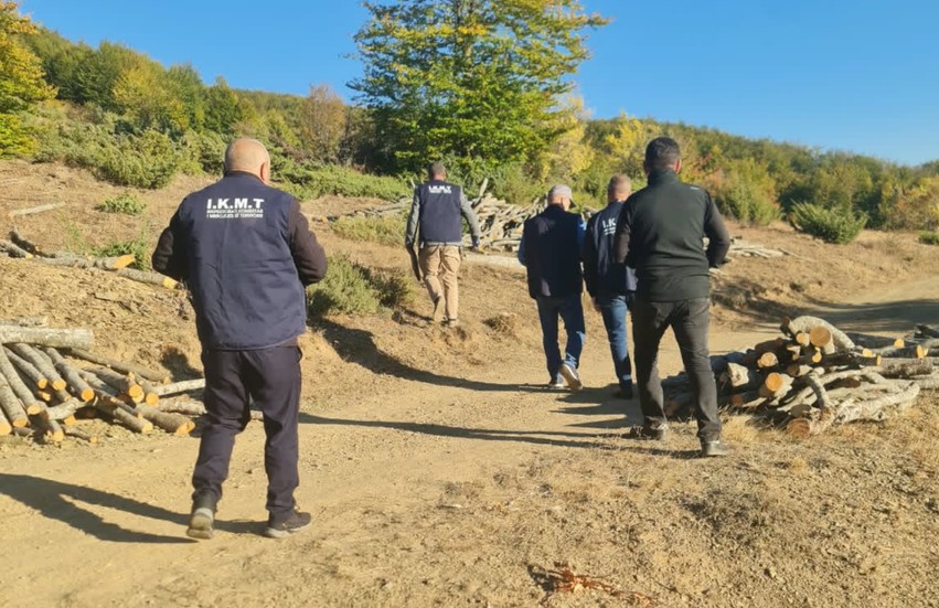 Goditen prerjet e paligjshme të pyjeve: IKMT sekuestron lëndën drusore në Kukës dhe Dibër